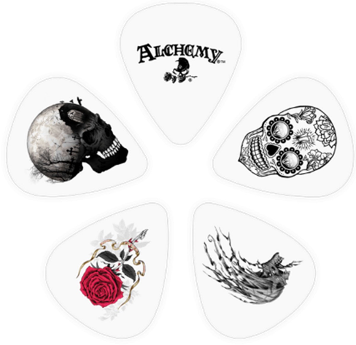 Alchemy Skull Signature Medium - plectrum - 0.70 mm - 10-pack