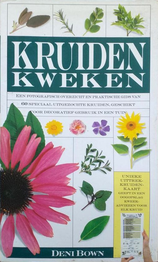 Kruiden kweken