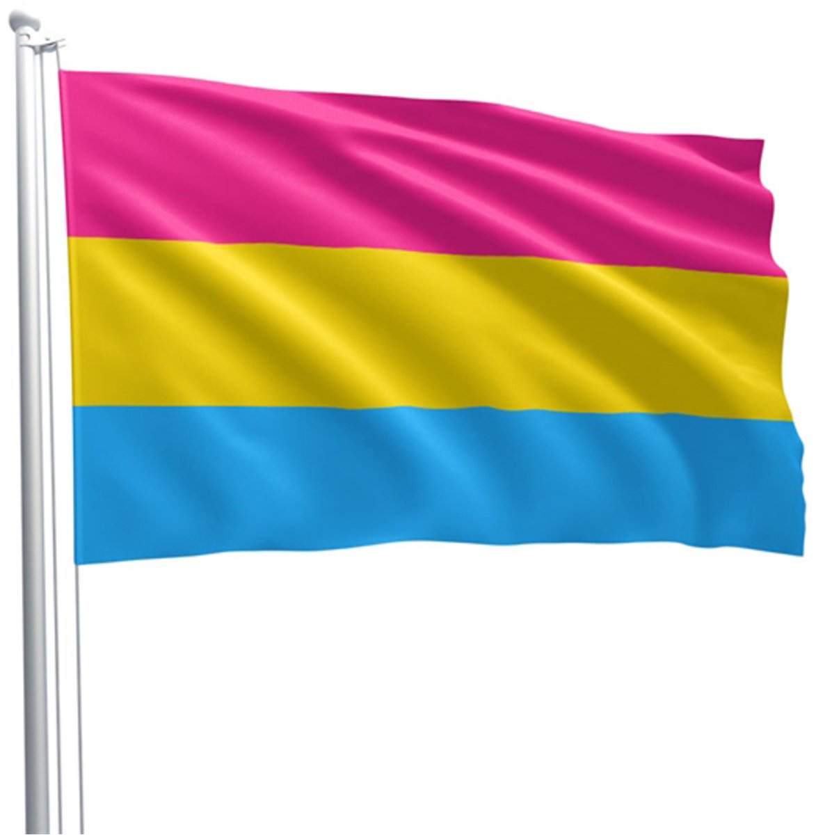 Panseksuele vlag 90 x 150 cm