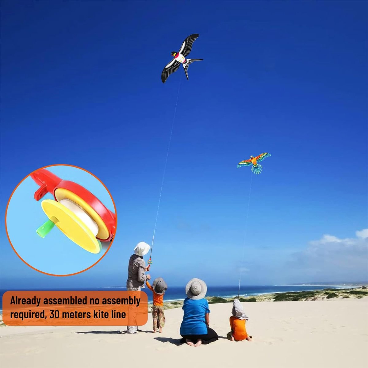 Dynamische Kleine Draak - Darryy Little Dragon - Avontuurlijke Fantasie