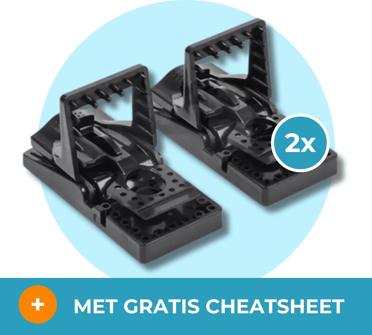 Luxan muizenval/muizenklem kunststof (2 stuks) - Effectieve Muizenval - Met gratis cheatsheet