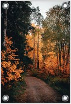 Tuinposter –Herfstig Bospad– 100x150cm Foto op Tuinposter (wanddecoratie voor buiten en binnen)
