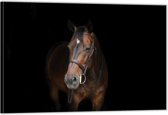 Dibond –Paard op Zwarte Achtergrond– 120x80 Foto op Aluminium (Wanddecoratie van metaal)