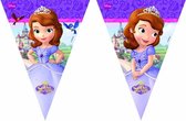 Sofia the First - Vlaggenlijn 3m