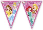 Disney Prinsessen Slingers Versiering 2,3 meter