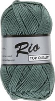 Lammy yarns Rio katoen garen - oud groen (458) - naald 3 a 3,5mm - 5 bollen