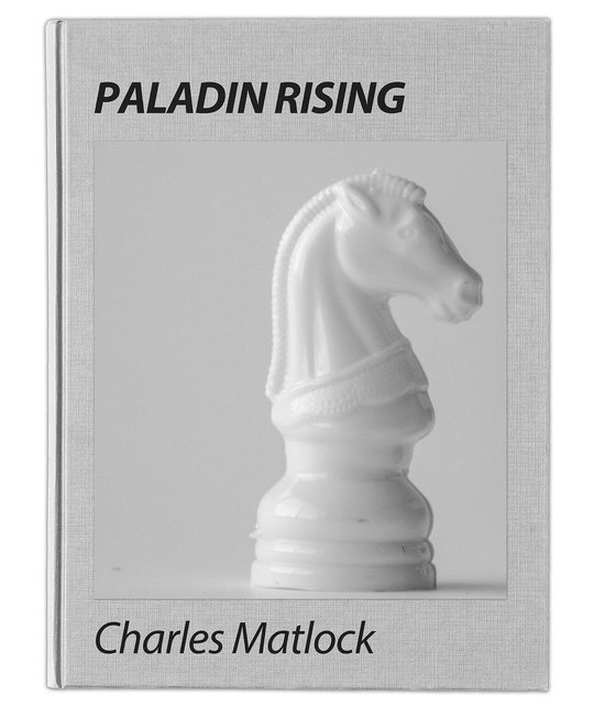 Paladin Rising - cover