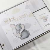 Disney Fotoalbum & Mijlpaal kaarten Set Dombo