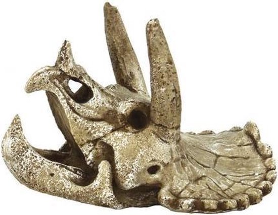 SF Skull Triceratops M
