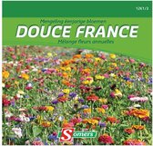Somers zaden - Mengeling éénjarige bloemen - Douce France