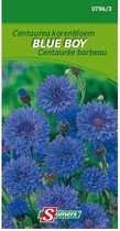 Somers zaden - Centaurea korenbloem - Blue Boy