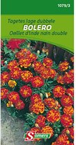 Somers zaden - Tagetes lage dubbele - Bolero