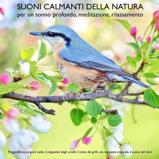 Suoni calmanti della natura (senza musica) per un sonno prof ... - cover