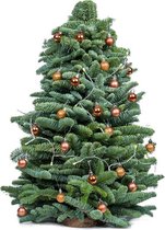Bloomgift | Kerstbomen | DIY kerstoompje incl. LED + Kerstballen | Zonder Batterijen | ↕ 50cm