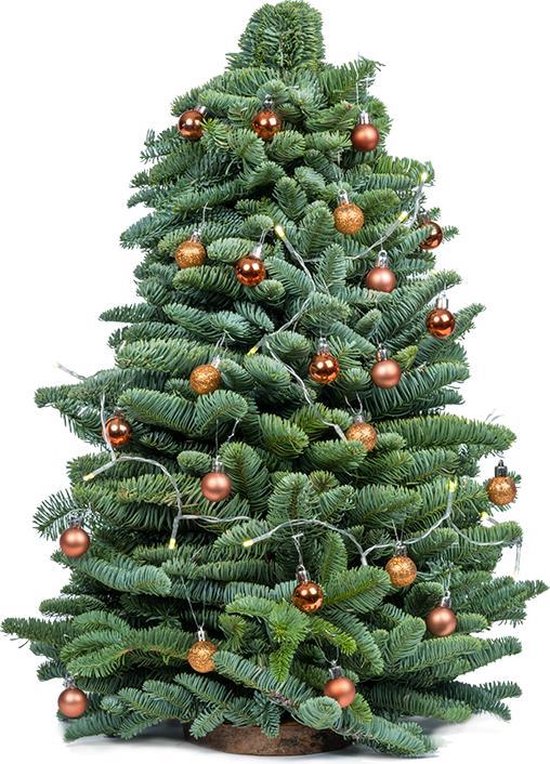 Retentie werkgelegenheid Aas Bloomgift | Kerstbomen | DIY kerstoompje incl. LED + Kerstballen | Zonder  Batterijen |... | bol.com