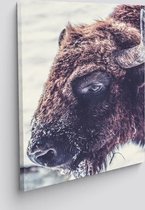 Canvas Schilderij | Bull / Stier  | 40 x 60 cm | PosterGuru