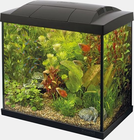 Aan het liegen idioom vlees SuperFish Aqua 30 LED Tropical Kit Aquarium - 30L - Zwart - 36 x 23 x 39 cm  | bol.com