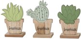 Kunstbloemen En Overige - Cactus / Succulent Green On Foot Wood 10x1.5x13cm 1pc Mixed