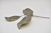 Kunstbloemen En Overige - Magnolia Lvs Spray Baroc 39cm Green/gold(6pc/pb)