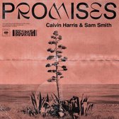 Promises (12 Inch Vinyl) (LP)