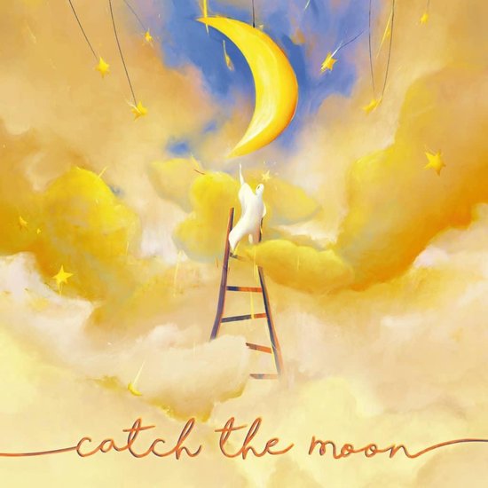 Afbeelding van het spel Catch the Moon