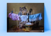 Hobby Painter - Happy Laundry - Diamond Painting - 50x40 cm - Vierkant - Compleet pakket