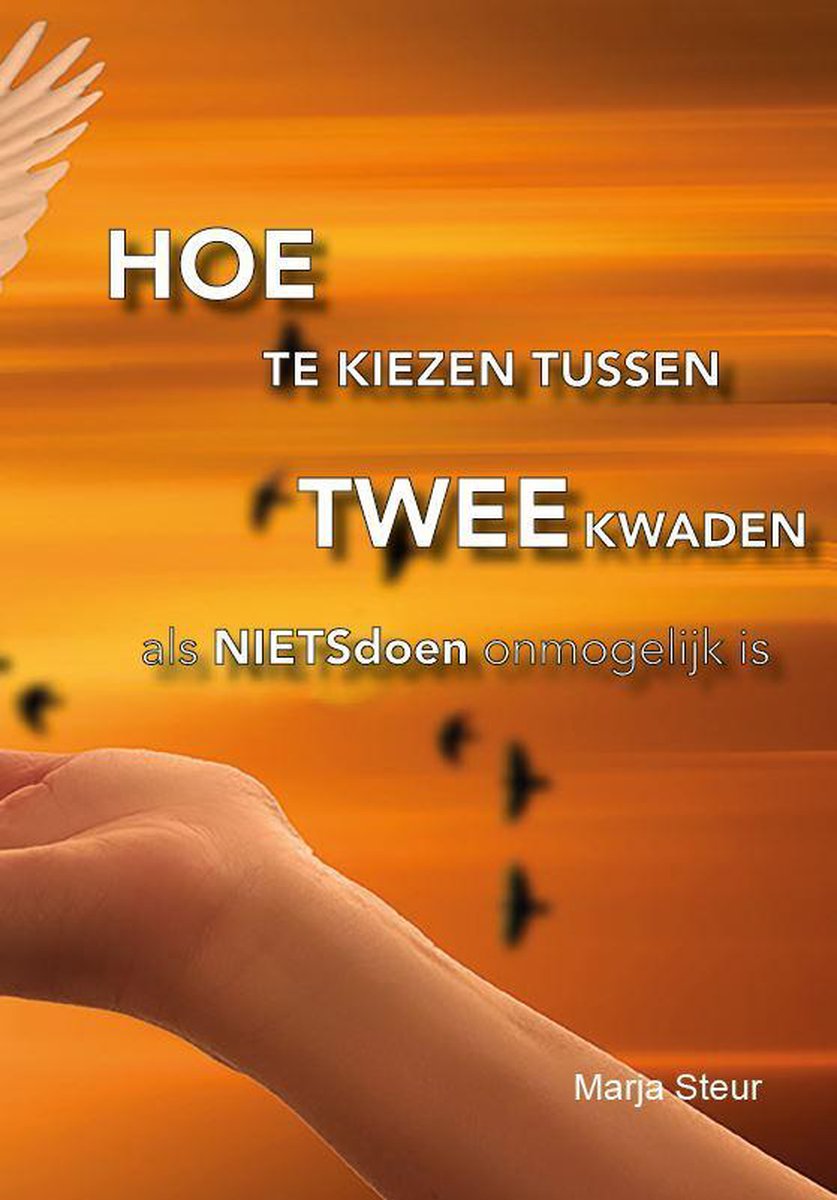 Hoe te kiezen tussen twee kwaden, Marja Steur 9789464020106 Boeken bol