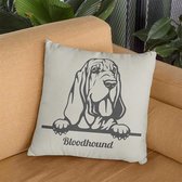 Sierkussen - Bloodhound - Wit - 45 Cm X 45 Cm