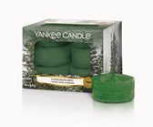 Yankee Candle Geparfumeerde Waxinelichtjes - Evergreen Mist - 12 Stuks
