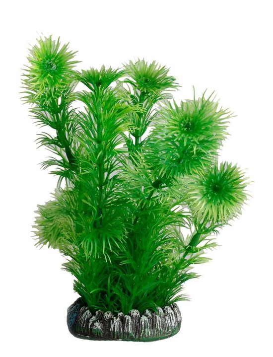 Aquarium plant sri lanka 2 plastic, s bol