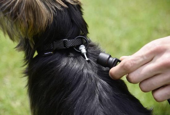 Rogz Hondenriem Utility Bungee Zwart
