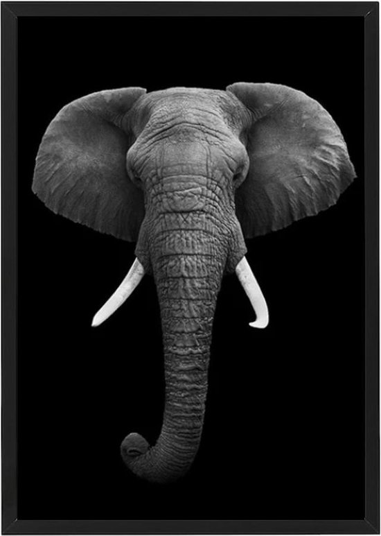 Canvas olifant poster 21x30 cm | Poster in aluminium lijst Zwart wit poster |... | bol.com