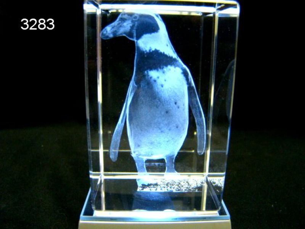 3D Laser Gravure Pinguïn – Glasblokje – 8 x 5 x 5 cm – Humboldt Pinguïn
