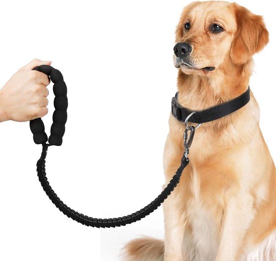 Elastische Rekbare hondenriem leiband - Trainingslijn - reflecterend -  zwart | bol.com