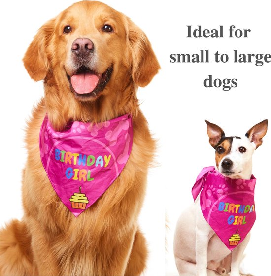 Ongebruikt bol.com | Odi Style Birthday Girl honden bandana voor honden XF-31