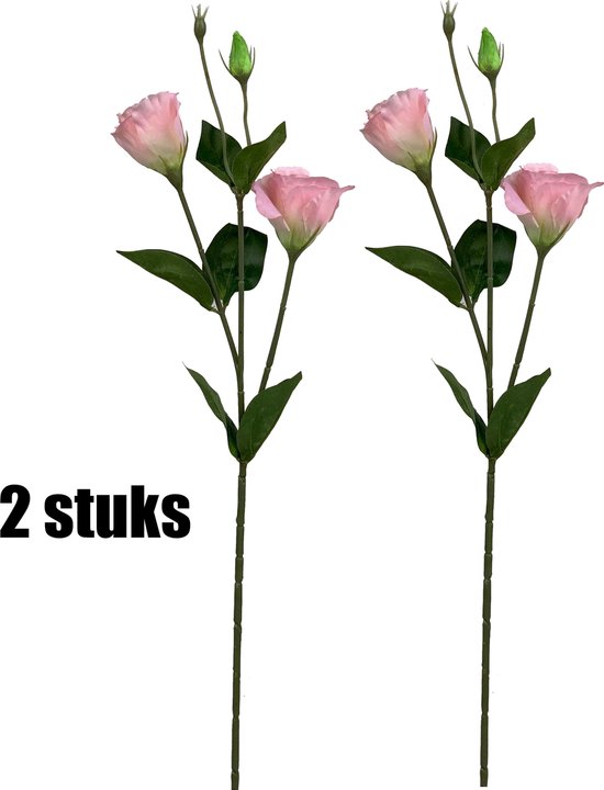 Kleuterschool Ochtend gymnastiek Om toestemming te geven Lisianthus - Eustoma – Kunstbloemen – Zijden bloemen – Lengte 70 cm –  Diameter 5 tot 7... | bol.com