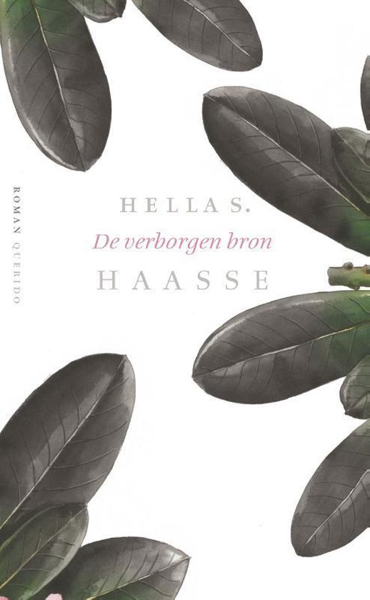 De verborgen bron - Hella S. Haasse | Tiliboo-afrobeat.com