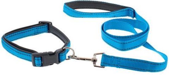 Hondenriem Met Verstelbare Halsband | 100 Maat M 33-50 cm bol.com