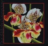 Borduurpakket  Orchids Paphiopedilum om te borduren rto m263