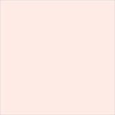 Painting the Past Matt Emulsion Krijtverf Marsh Mellow (K31) 2.5 L