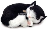 Schattig Huisdier - Kitten Zwart-wit