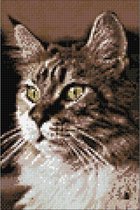 Wizardi Diamond Painting Cat at Home WD212