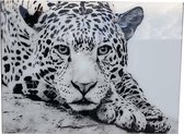 Jaguar | 4 mm Glas schilderij | 1000 mm x 750 mm | Blind ophangsysteem |