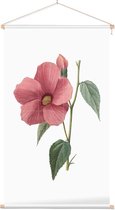 Textielposter Botanisch Hibiscus Aquarel (Hibiscus) - 40 x 70 cm