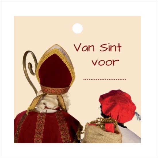 Correctie onbekend Zaklampen Sinterklaas - cadeau kaartjes - 20 stuks - 7 x 7 cm | bol.com