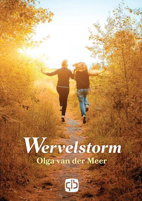 Wervelstorm - cover