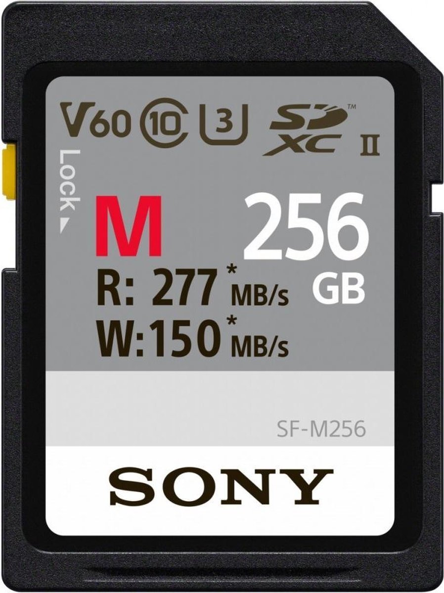 Sony SDXC Professional 256GB Class 10 UHS-II