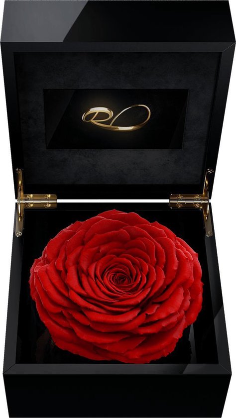 ROSES BY ROSES® - Luxe Video Flowerbox met HD scherm en 1 Longlife XXL Roos Rood - ‘’Een Persoonlijke Videoboodschap Uploaden’’ voor Valentijnsdag, een Bruiloft, een Verjaardag, een Jubileum, moederdag of vaderdag. Een uniek cadeau!