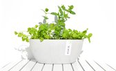 Ecopots Sofia ovaal whitestone 30 cm - planten/bloembak-pot