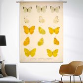 Wandkleed Vijftien gele en witte vlinders